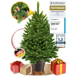 ArtiTree - Künstlicher Weihnachtsbaum im Topf - Christmas Tree für Innen, Kunstlich Baum für Weihnachtsdeko, Realistische Optik (80 cm, ohne Beleuchtung)