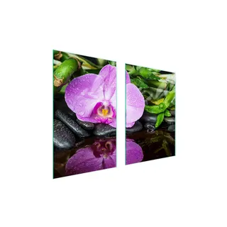 Glasschutzplatte Für Küche 65X52 Orchidee - Rosa