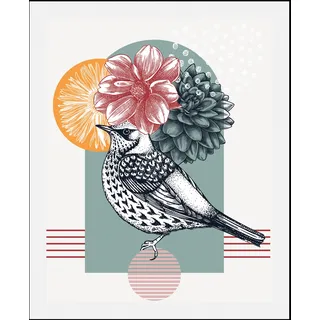 Queence Bild "Birdy", rosa farbe rahmen: schwarz, farbe bild(er): rosa), B:50cm H:70cm, Acrylglas, Holz, Papier, Bilder, Bild, gerahmt,
