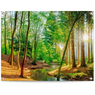 Reinders! Reinders "Sonniger Wald", farbe bild(er): grün