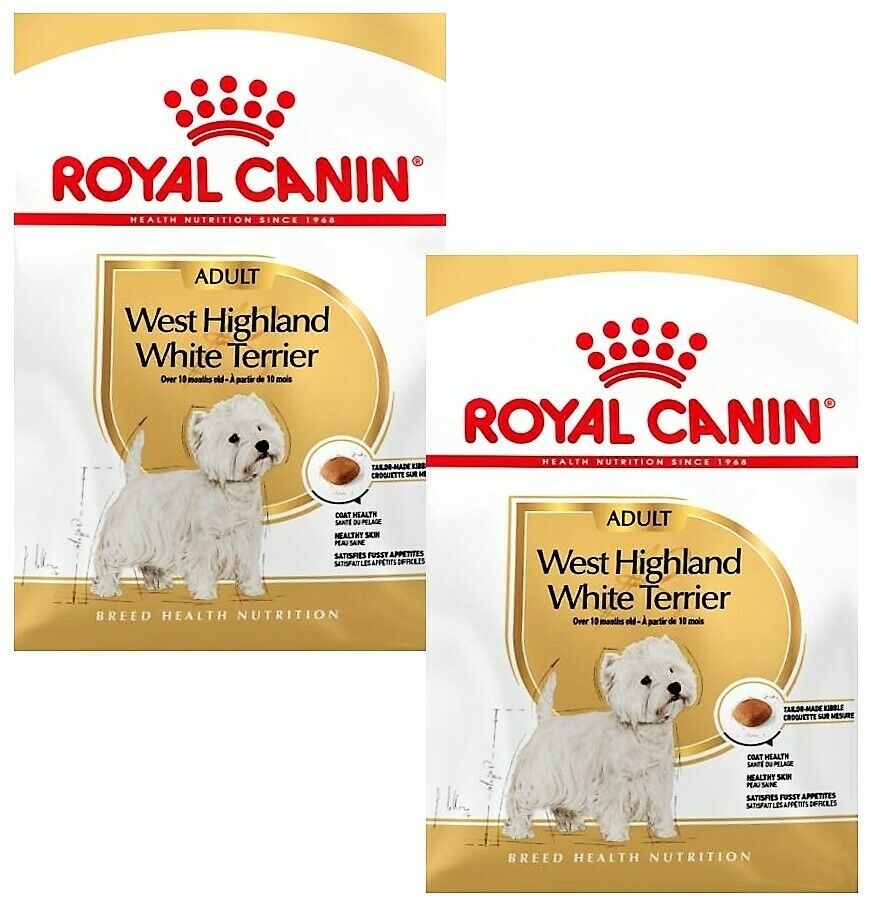 Bild von West Highland White Terrier 21 Adult 500 g