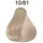 Color Fresh 10/81 hellblond perl-asch 75 ml