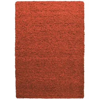 Ayyildiz Teppiche Life Shaggy 1500 Hochflorteppich 240 x 340 cm terra