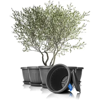 BigDean 6X Blumentopf mit Untersetzer rund ø50xH38 cm anthrazit | Wetterfester Pflanzkübel - Wasserablauf UV-beständig aus bruchsicherem Kunststoff - Innen + Außen geeignet - Made in Europe
