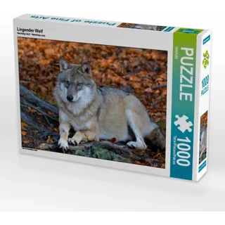 CALVENDO Puzzle Liegender Wolf 1000 Teile Puzzle quer | Lege-Größe cm Foto-Puzzle für glückliche Stunden