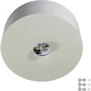 rp-group RP-Technik LED-Sicherheitsleuchte ILDL423SC