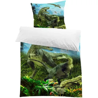 MUSOLEI Dinosaurier Bettwäsche 135x200 Kinder Jurassic World Dino Bettwäsche Jungen Teenager Jugendliche Kinderbettwäsche Mikrofaser 3D-Druck Bettbezug und 1 Kissenbezug 80x80 Geschenk, Dino05