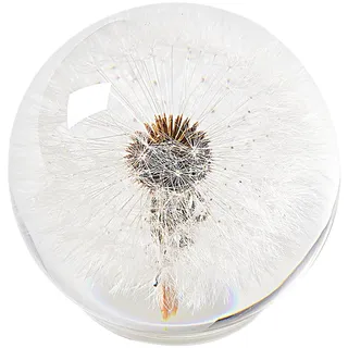 1st Heaven Kristall-Glaskugel mit echter Pusteblume – Eleganter Briefbeschwerer & Wunscherfüller, Glücksbringer Deko & Geschenkidee für Zuhause, Büro & besondere Anlässe (65mm)