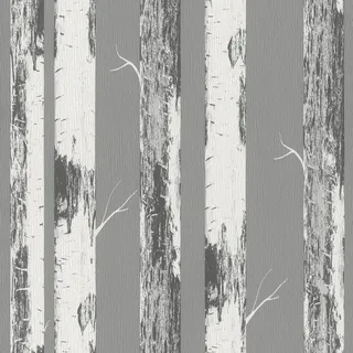 Rasch Textil Rasch Papiertapete »mit Birkenstämmen« Holz strukturiert Birkenwald, grau