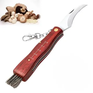 HONGECB Pilzmesser mit Bürste & Lineal – Professionelles Schwammerlmesser für Pilzsammler mit Holzgriff | Klappmesser mit gebogener Edelstahl Klinge | Ideales Pilz Taschenmesser Geschenk (21 cm)