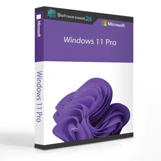 Windows 11 Pro DVD IT