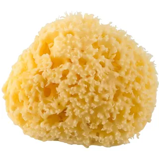 Rotho Babydesign Mittelmeerschwamm - Babymittelmeerschwamm - Mittelmeerschwamm - Pflegeschwamm - Babyschwamm - Schwamm - gelb