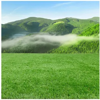 Steffensmeier Kunstrasen Dublin|+++18.000 UV Stunden Garantie+++|Soft|Outdoor|Meterware|Rasenteppich|wasserdurchlässig| Grün, Größe: 300x300 cm