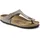 Gizeh Graue 40