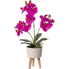Bild Kunstorchidee »Orchidee Phalaenopsis in Keramikschale«, mit Real-Touch-Blüten und auf Füßen, lila