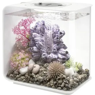Oase 72030 biOrb FLOW 15 LED weiß Aquarium 15 l mit LED-Beleuchtung