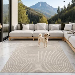 the carpet Santo Plus Outdoor Teppich – Beige, 300 x 400 cm – Wetterfest & Pflegeleicht, Balkon Teppich, Terrasse & Garten, Flachgewebe Indoor & Outdoor, Modern für Wohnzimmer & Schlafzimmer