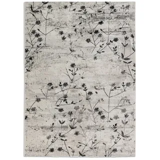 Astra Wohnzimmer Kurzflorteppich ANTEA Mittelgrau 133 x 190 cm - Grau