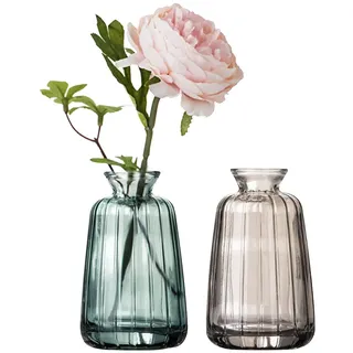 Kleine Glas Vasen Set für Tischdeko Mini Deko Blumenvasen Set Tischvase Set of 2