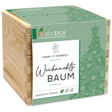 Feel Green - WE CREATE NATURE ecobox, Weihnachtbaum, Pflanzen Aus Der Holzbox 11x11x10cm, Made in Austria, Nachhaltige Geschenkidee, Grow Your Own/Anzuchtset