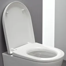 Bild Pro WC-Sitz mit Deckel, abnehmbar, H891950, Farbe: weiß