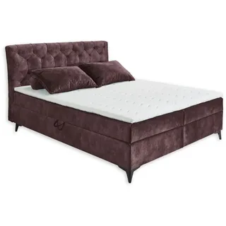 MIAMI 1 Boxbett 180x200, Aubergine - Bequemes Doppelbett mit Bettkasten & Komfortschaum Topper - 185 x 115 x 224 cm (B/H/T)