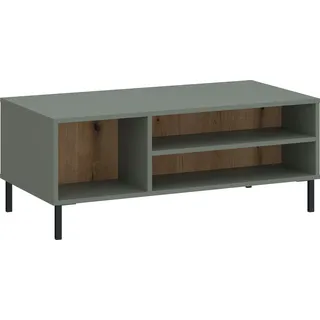 Couchtisch HOME AFFAIRE "Pozzi", grau, grün, B:100cm H:41,2cm T:60cm, Tische, Couchtisch, schöne Farbe