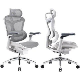 SIHOO Doro C300 Pro Ergonomischer Bürostuhl mit ultraweichen 6D-Armlehnen, dynamischer Lendenwirbelstütze, Sitztiefenverstellung und verstellbarer Rückenlehne, Schreibtischstuhl für Home Office (Weiß)