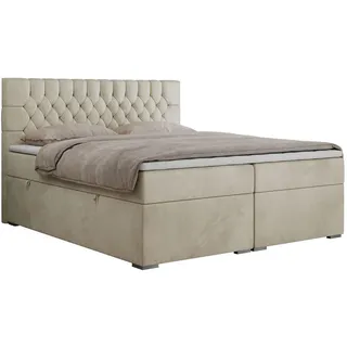 MKS Boxbett Pera 120/200 Beige Velvet - H3 , Textil , H3 , Rechteckig , 120x200 cm , Schlafzimmer, Betten, Boxspringbetten
