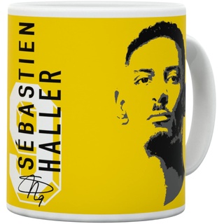 Borussia Dortmund BVB Tasse Spieler Haller Fanartikel