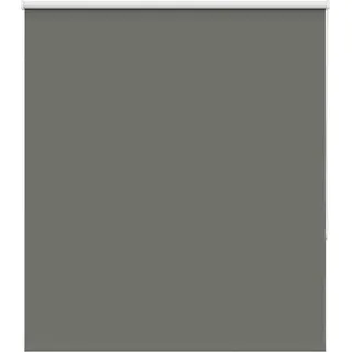vidaXL Verdunkelungsrollo Grau 125x150cm Stoffbreite 121,6cm Polyester - Grau