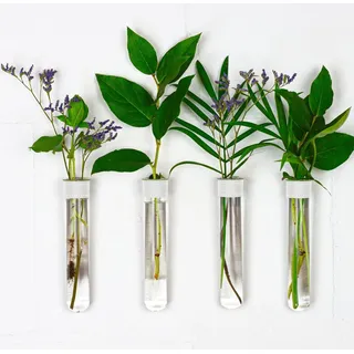 TWILG - Reagenzgläser für Blumen mit weißem Leder und Wandmagnet - 4er Set - Blumenvase, Magnet vase, Reagenzgläser mit Ständer, Reagenzglas vase Wand, Magnetische vase