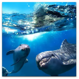 Leinwandbilder | Bilder Leinwand 90x90cm zwei neugierige Delfine im Meer