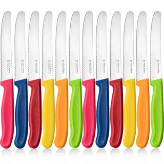 targzier Frühstücksmesser 12 Stück, Edelstahl Tafelmesser,Hochwertiges Tomatenmesser mit Wellenschliff,Bunt Brötchenmesser,Scharfe Messer Set für Brotzeit,Kunststoffgriff Messerset