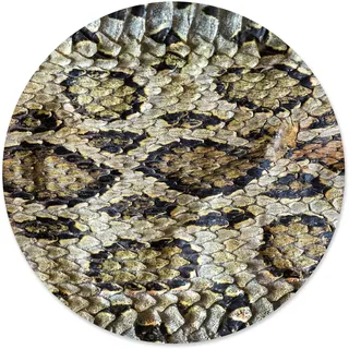 Mauspad im Schlangen Design I Ø 22 cm rund I Grün I Tier-Motiv Animal Print I Mausunterlage für Büro Gaming I Kunststoff abwischbar I rutschfest dünn I dv823