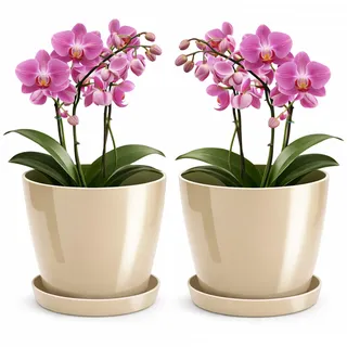 PECZEKO Blumentopf glänzender, Pflanzkübel aus Übertopf Kunststoff Dekorativer Topf für, groß und klein Pflanzen, 2er-Set blumenkübel mit Untersetzer, blumenkübel kräutertopf, Beige, ø 16 cm