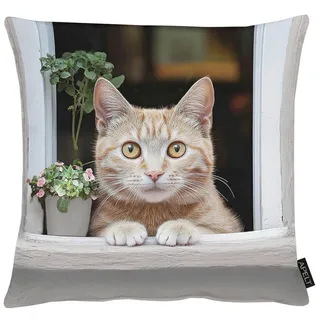 Apelt Zierkissen , Hellgrau , Textil , Katze , Füllung: Vlies,Vlies , quadratisch , 45x45 cm , Oeko-Tex® Standard 100 , pflegeleicht , Heimtextilien, Wohntextilien, Kissen, Zierkissen