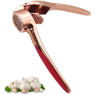 D'Emilia – Manuelle Knoblauchpresse aus Edelstahl, Ingwerpresse für professionelle Küche, robust und langlebig, leicht zu reinigen, ohne Kraftaufwand, spülmaschinenfest, Premium-Design