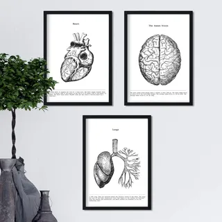 Nacnic Anatomie Poster 3er-Set. Vintage Stil Wanddekoration Abbildung von Herz Gehirn Lunge und andere Körperteile. Verschiedene menschliche Körper und Anatomie Bilder ohne Rahmen. Größe A4.