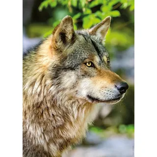 Nathan - Puzzle für Erwachsene - 1000-teiliges - Europäischer Grauer Wolf - Erwachsene und Kinder ab 14 Jahren - Hochwertiges - Perfekte Passform - Wild Life Collection - 12001146