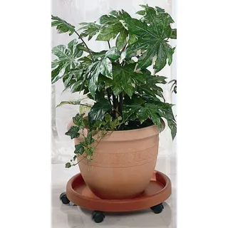 RUCO Blumentopfuntersetzer Ø 34 x 9 cm Orange