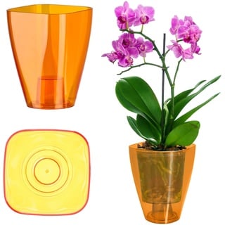 Kadax Blumentopf, Orchideentopf, Topf für Orchidee, eckig, Orange)