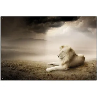Wallario Outdoor-Poster für Garten oder Balkon, Motiv Stattlicher ruhender Löwe in Afrika in Sepiafarben, in ca. 61 x 91,50 cm - Braun