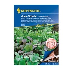 Kiepenkerl Asia-Salate Mizuna, Komatsuna Green Boy, Mustard Red Giant Saatband