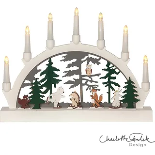 LED Schwibbogen ,Forest Friends, 7-flammig, Batterie, Tiermotive, Holz - Bunt