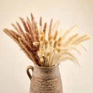 Meine Orangerie - Pampasgras Set - Pampasgras getrocknet - Stilvolle und natürliche Trockenblumen Deko- Deko Wohnzimmer - Hochzeit (Harmony)