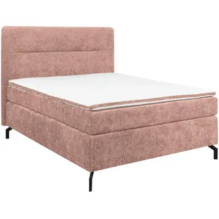 Esposa Boxspringbett , Rosa , Textil , H4 , Höhe ca. 17 cm , 140x200 cm , Stoffauswahl, Topper durchgehend, Matratze in verschiedenen Härtegraden erhältlich , Schlafzimmer, Betten, Boxspringbetten
