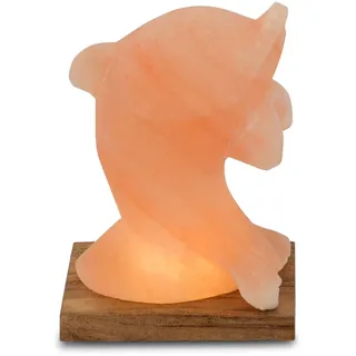 HIMALAYA SALT DREAMS Salzkristall-Tischlampe »Delfin« LED-Modul 1 Stk. Warmweiß Handgefertigt aus Salzkristall - jeder Stein ein Unikat, H: ca.15 cm, orange