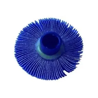 Bürste Für Schleifer Rolly Spazz.abras. Schmal Getreide 60