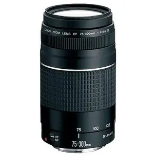 Canon EF 75-300 mm F4,0-5,6 Bildstabilisator Zoomobjektiv Canon EF